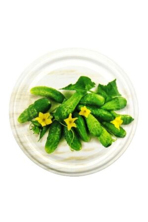 VIečko TO 82 (Zenenina mix1) ZX2 400×600 VIečko TO 82 (Zenenina mix1) ZX2 400×600