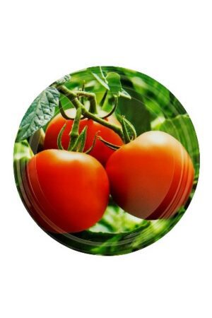 Viečko TO 82 (Zelenina mix2) ZX2 400×600 Viečko TO 82 (Zelenina mix2) ZX2 400×600